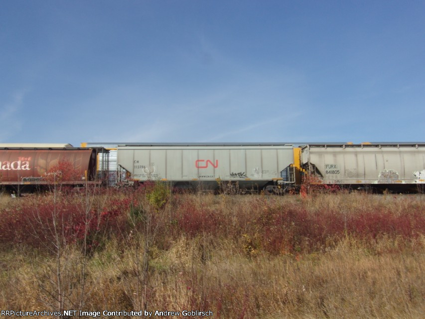 CN 113786